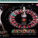 largest roulette bet